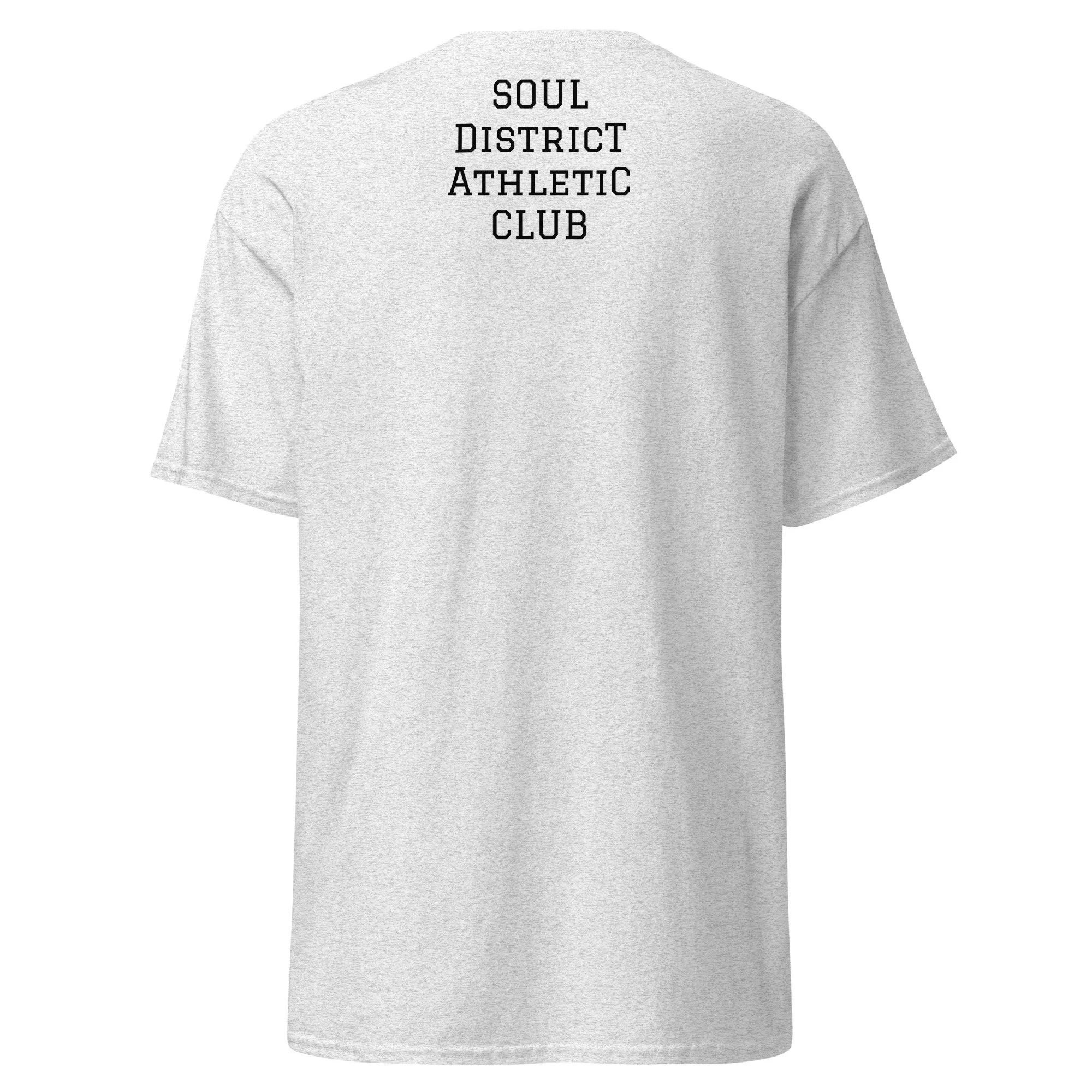 unisex-classic-tee-ash-back-6a3b6658654ad.jpg