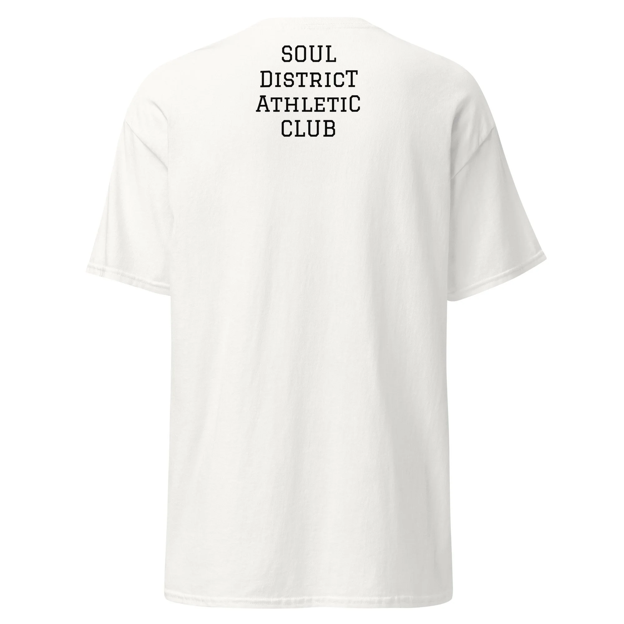 unisex-classic-tee-white-back-6a3b66586fdc3.jpg