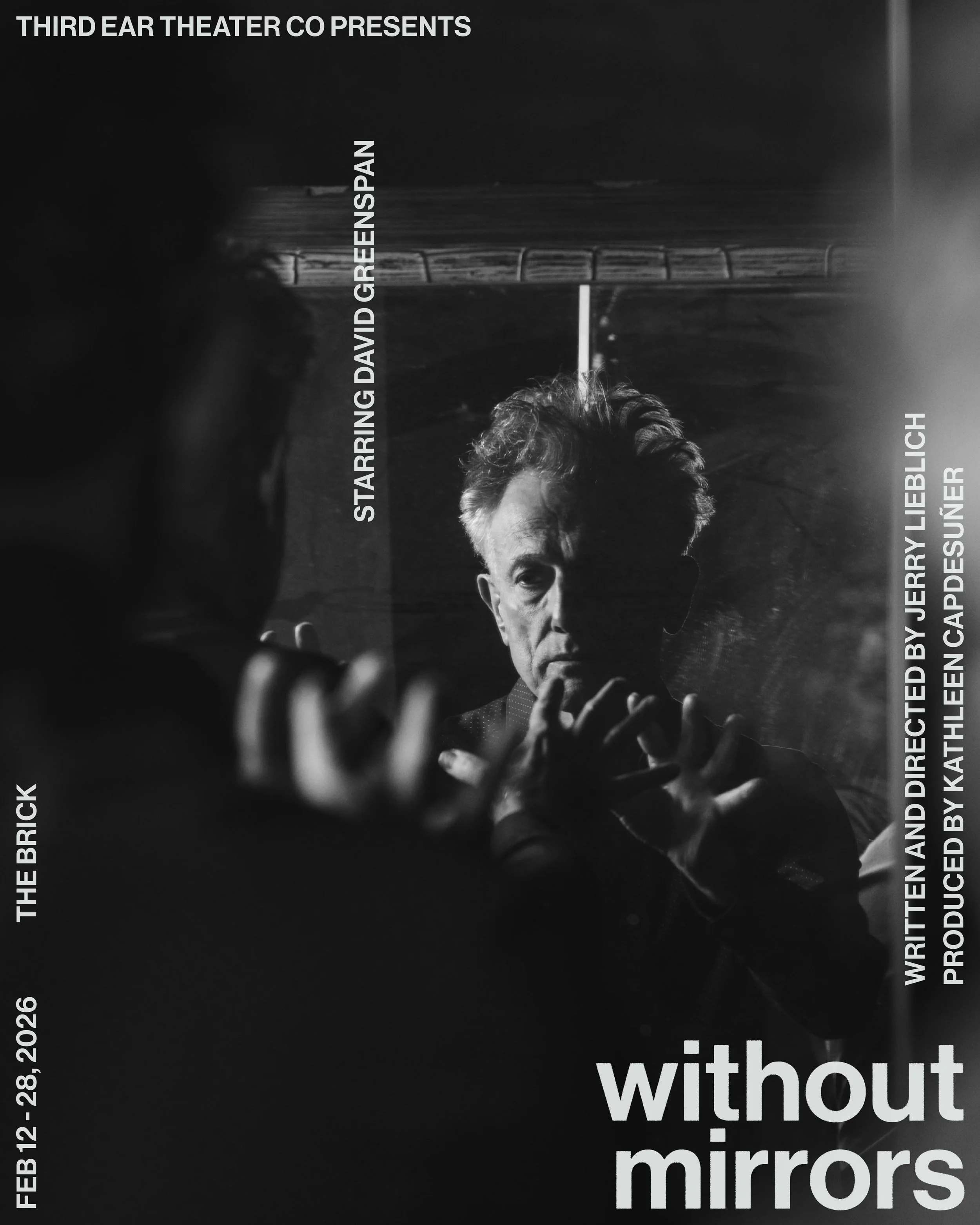 poster - without mirrors.jpg