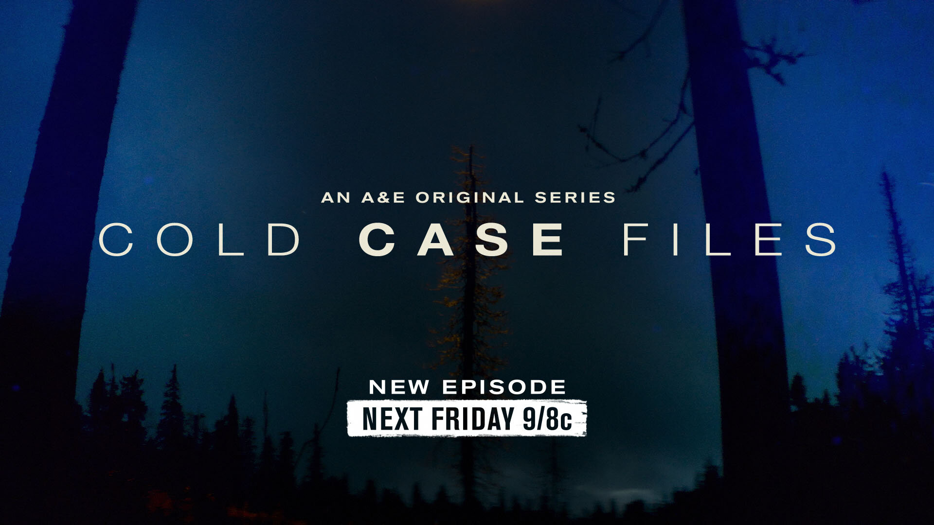 Cold Case Files.jpg