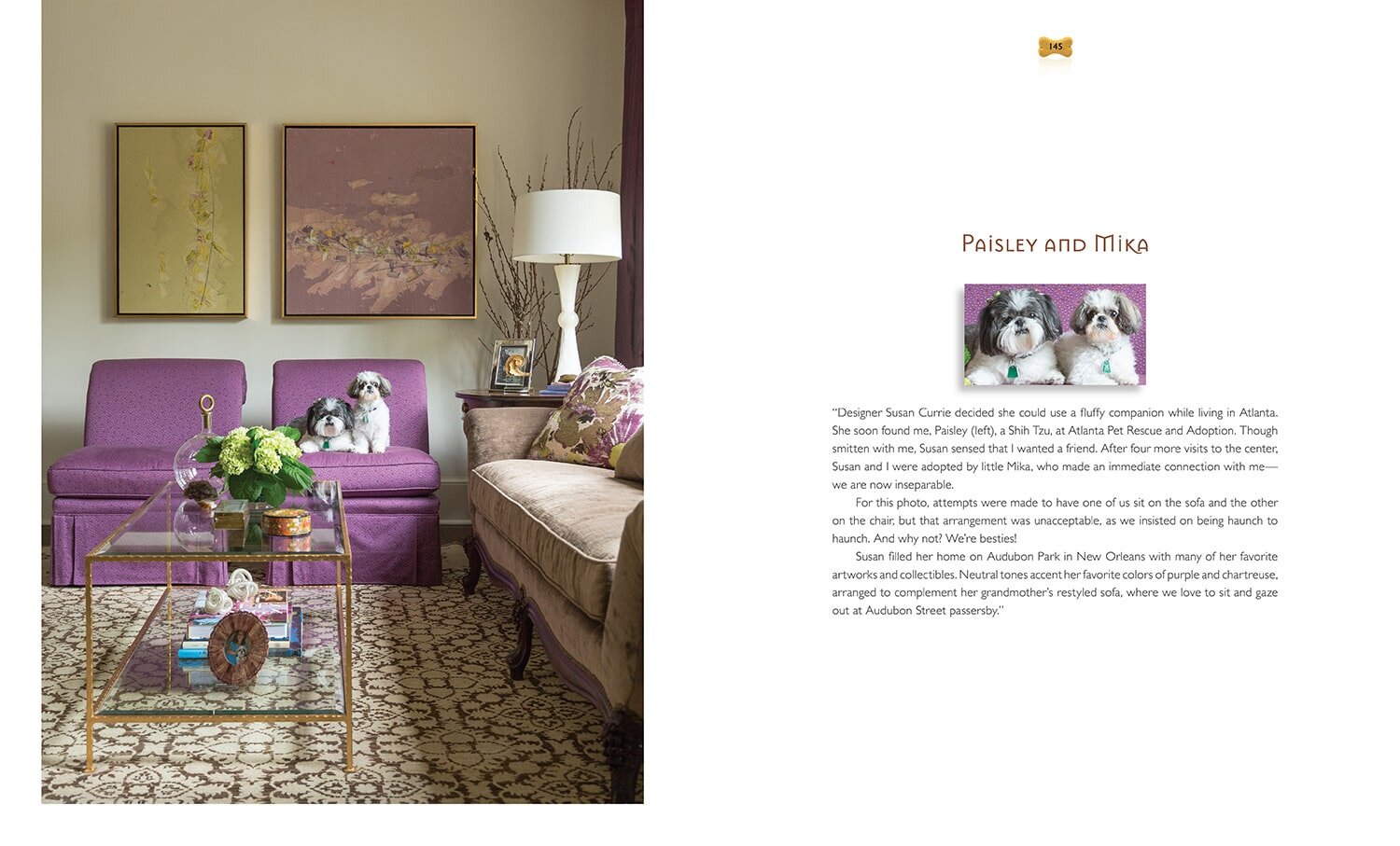 Dog Decor Spread 2