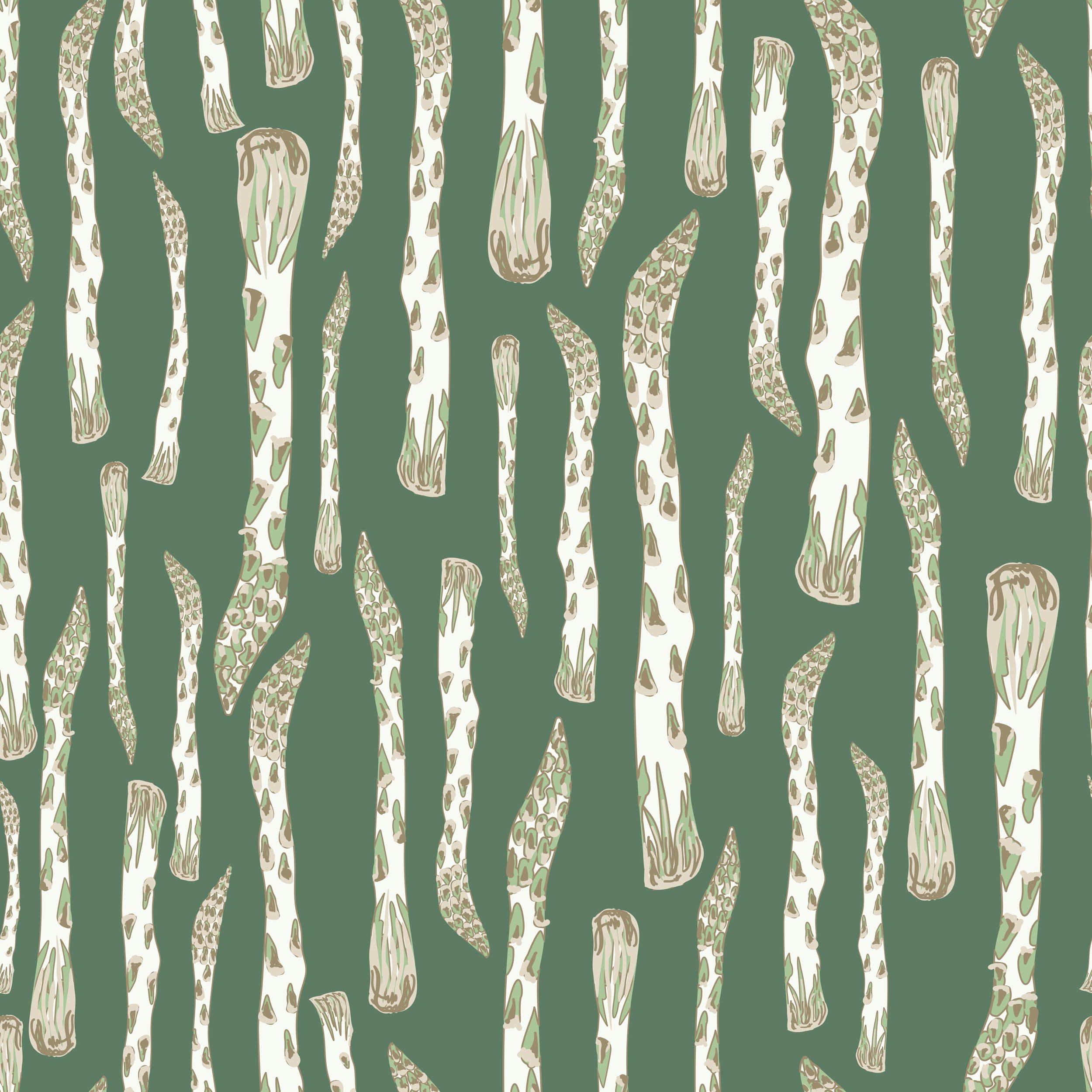 White Asparagus redo 24 B.jpg