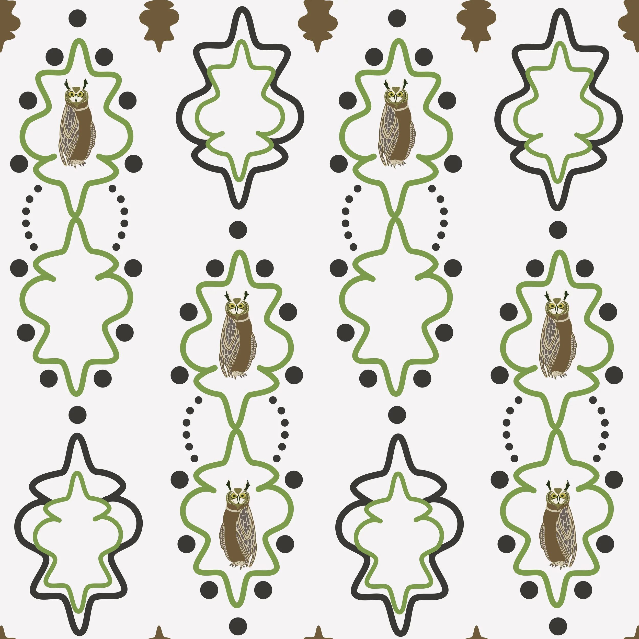 Brown Owl on White 24.jpg