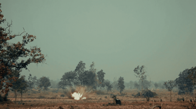 APOPO HEADER_LOW.gif