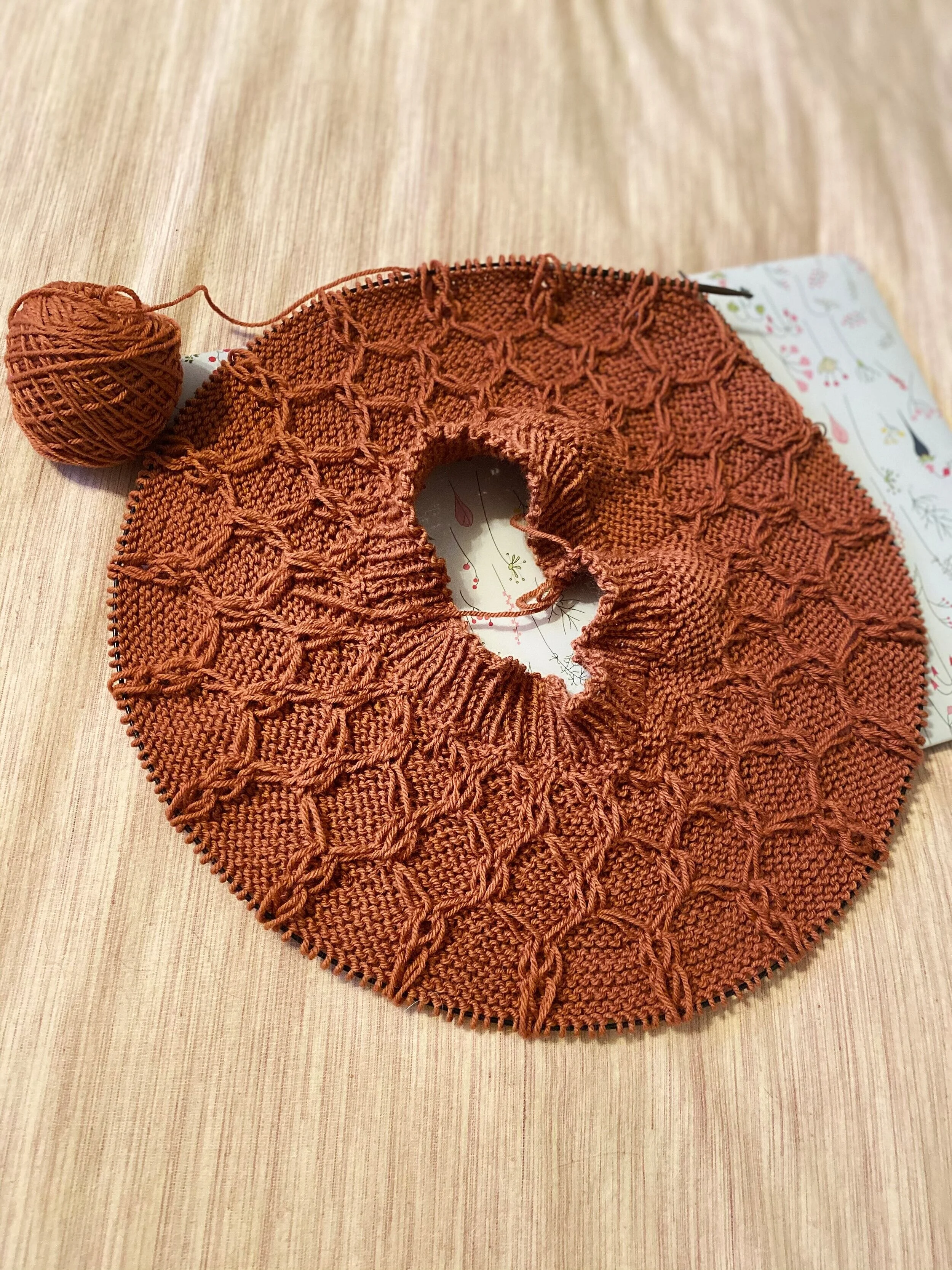 Wool+%26+Honey+Progress1.jpg