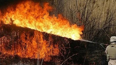 Fed up with flame wars, South Dakota humorist Dorothy Rosby shares her Rules of Engagement for social media.