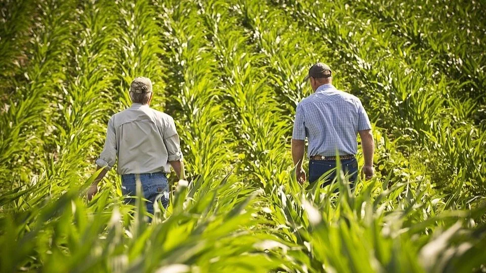 Soybean and corn farmers need some resolution on the China tariff situation or prices could drop 20% say ag experts