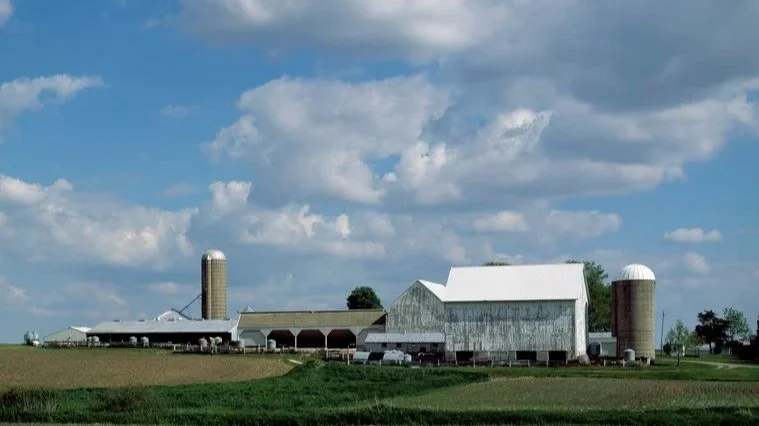 Take it from South Dakota Democratic Party farmers: Trump ag and trade policies are disastrous for rural America