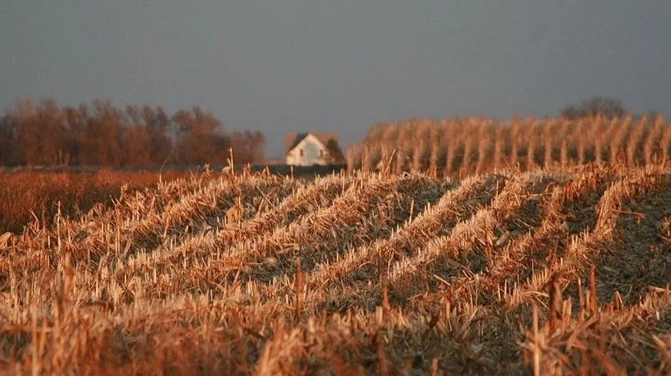 Fertilizer costs are hurting farmers. Some think profiteering off Ukraine war just might have something to do with it