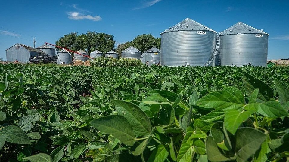 Trump helps out farmers battered by his trade policies. Is this what he meant when he promised “so much winning
