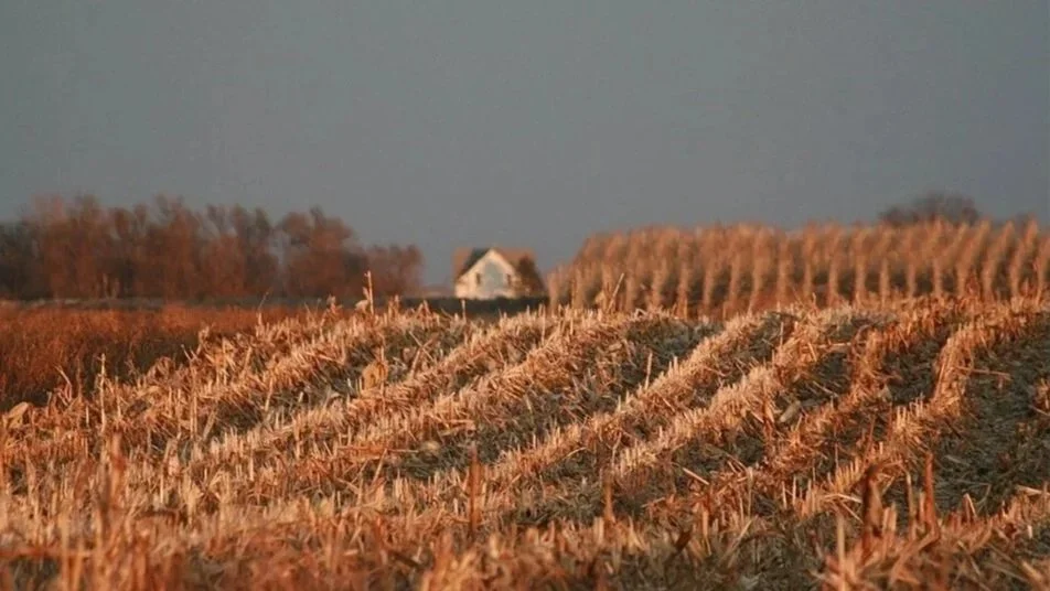 A group of retired USDA and ag industry officials send letter to Congress. Its content is direct, dire and scathing