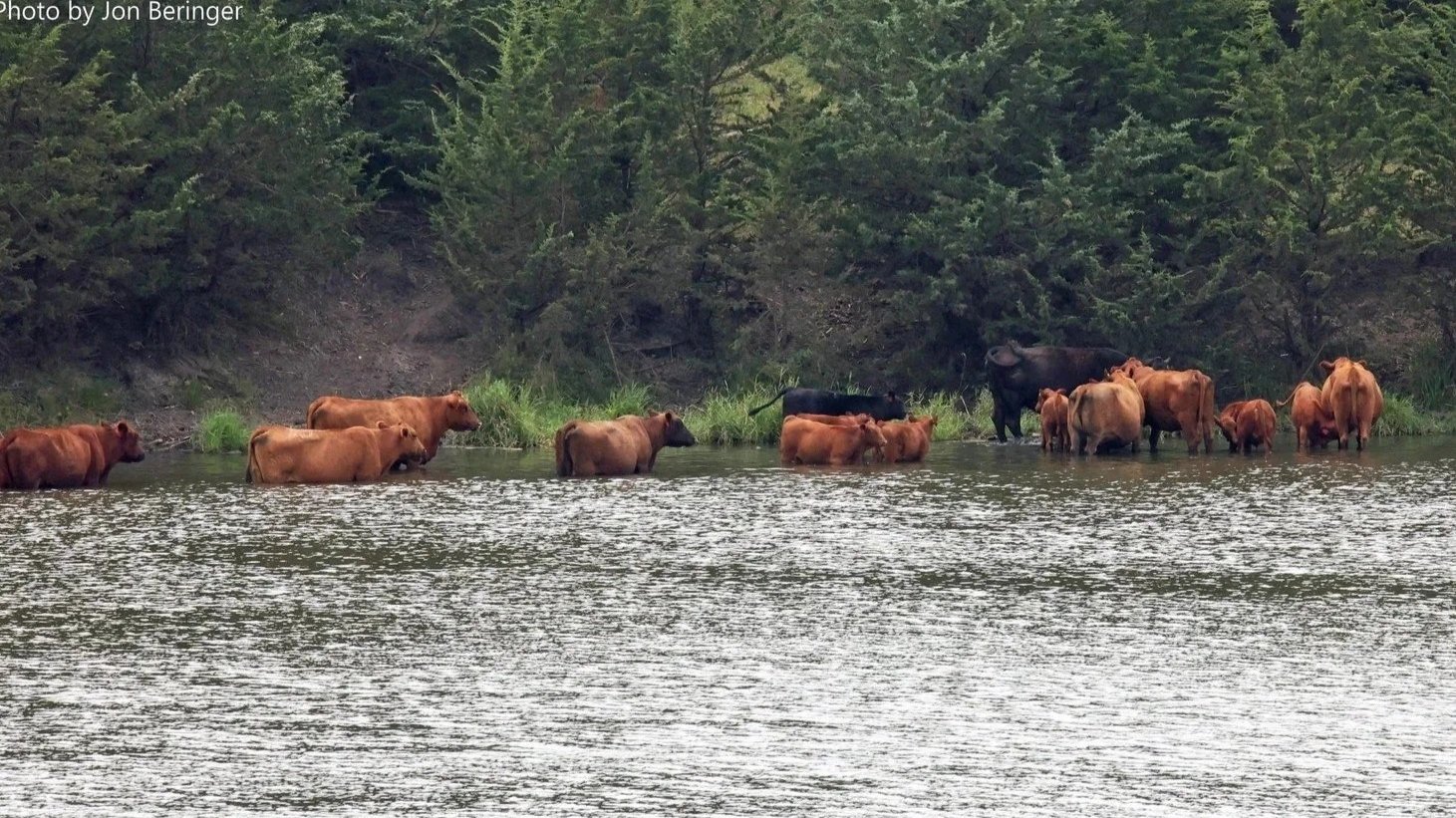 80% of S.D. waterways are polluted. We cannot allow our water to get filthier. We must mandate riparian buffers