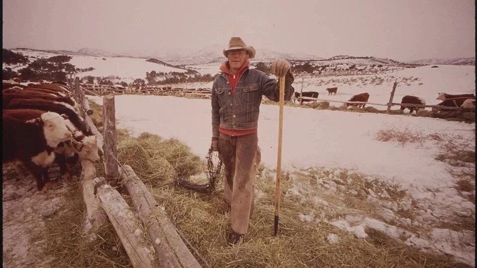 Rusty pickups are being displaced by double-cab outfits and Hummers. Ranching is going, going – but not quite gone.