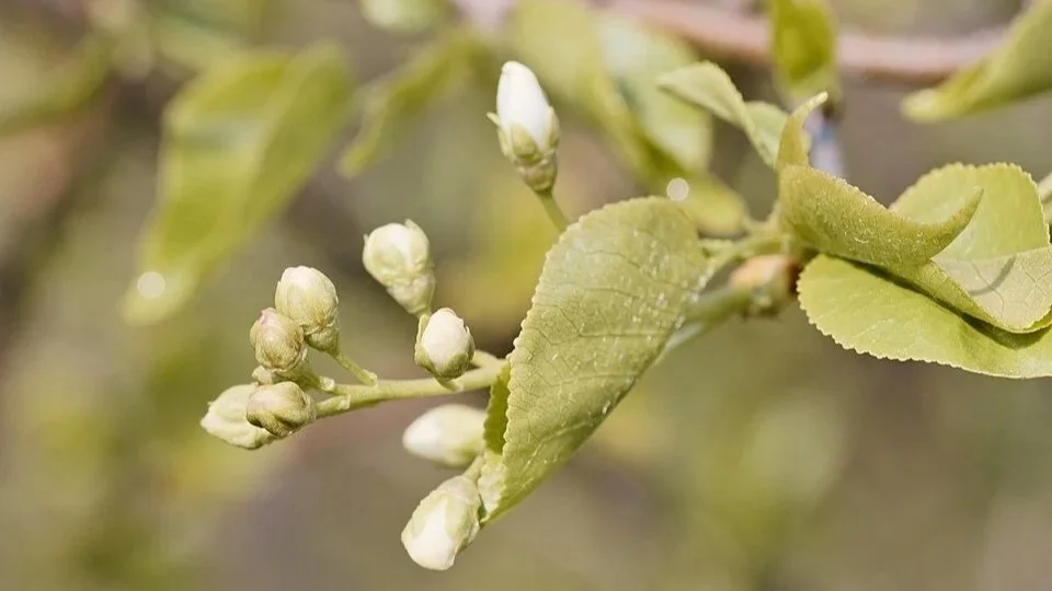 40 years ago, he overcame the crippling affects of addiction and mental illness. Don’t surrender to them — you can win, too