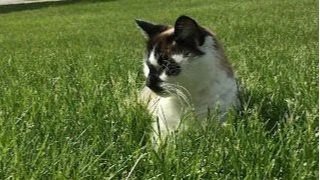 I was her person. A decade later, missing my little Angel
