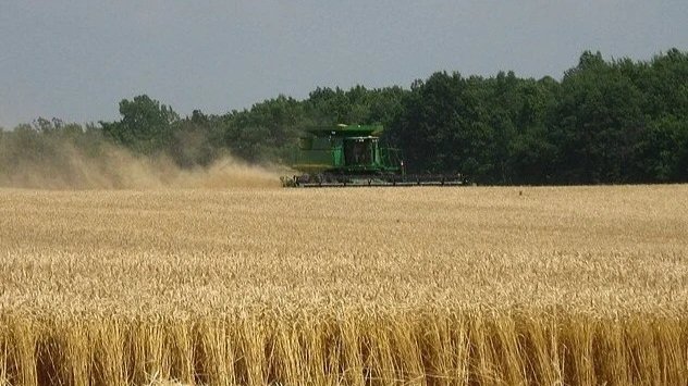 Farmers are hurting thanks to Trump’s apocalyptic screw-ups
