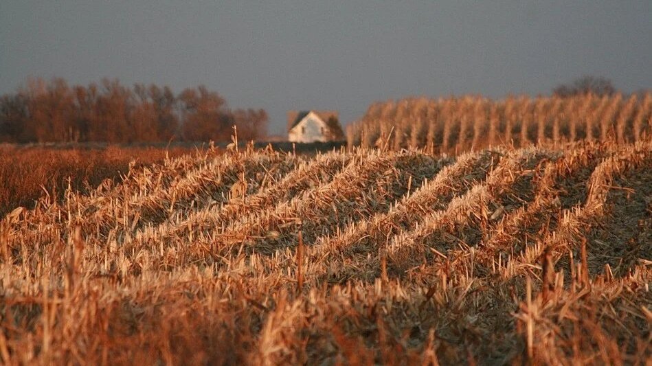 Will farmers fed up with Trump make a difference in November?