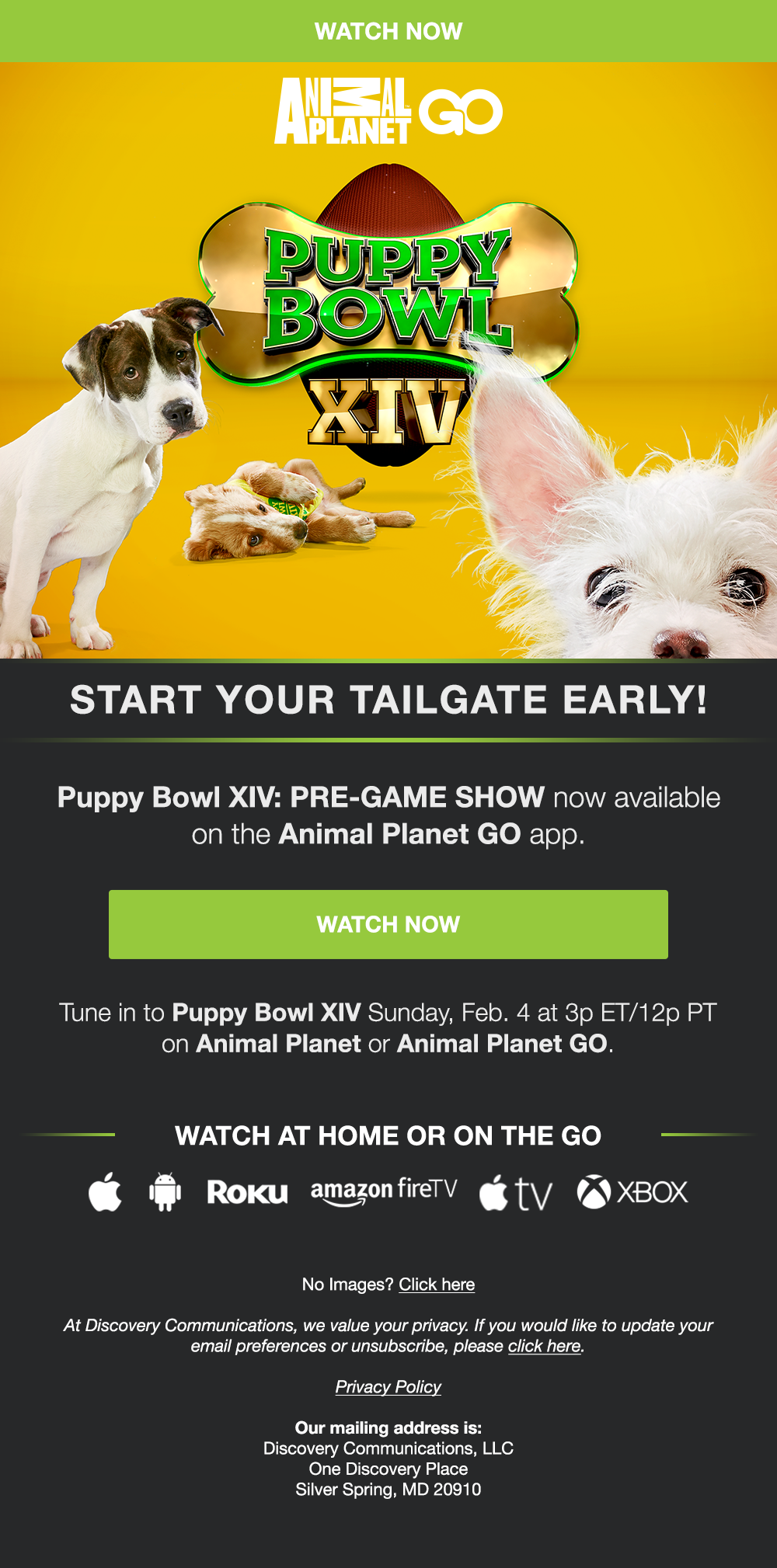 APL_Email_Puppy-Bowl_Pre-Game-Show_Release.png