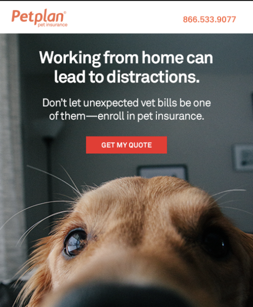 Screen Shot 2020-04-02 at 4.23.07 PM.png