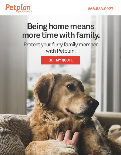 Screen Shot 2020-04-02 at 4.33.06 PM.png