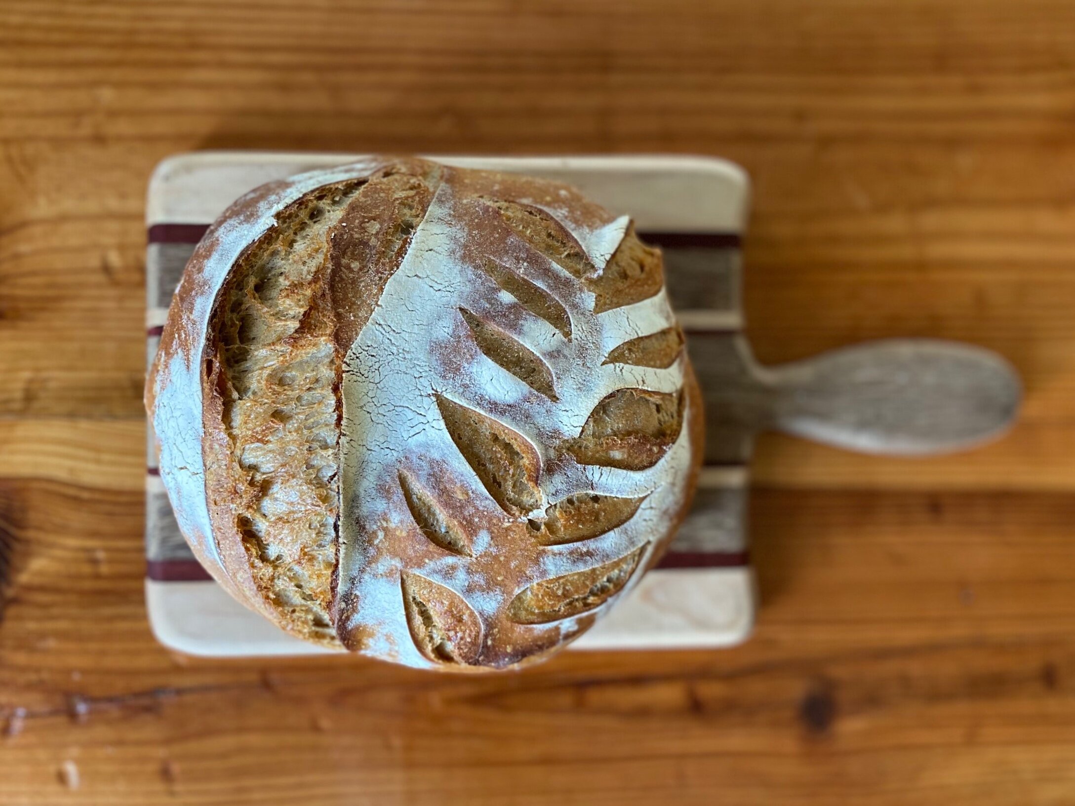 Our Favourite and Essential Sourdough Tools - The Baked Collective