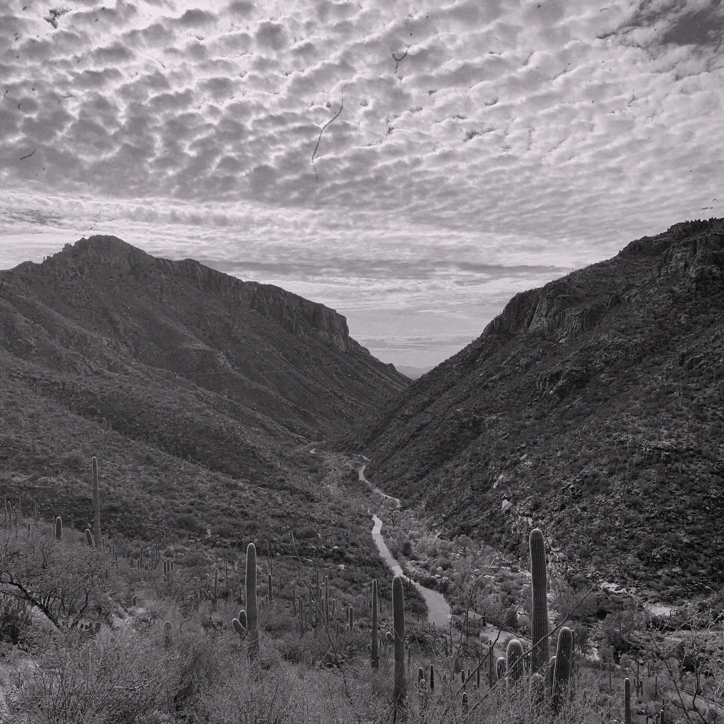 Stream Harkin's new single 'Up To Speed'