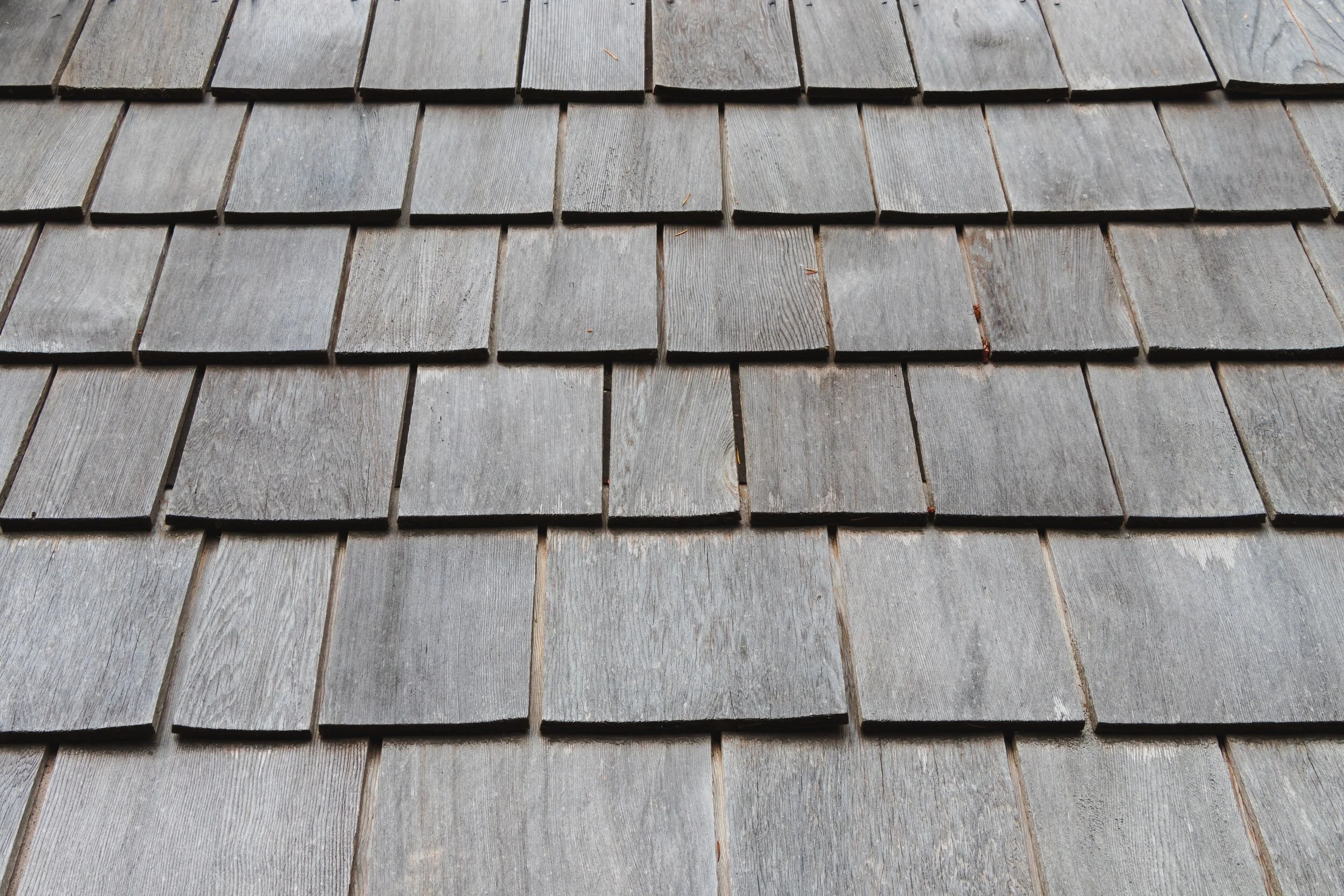 What are signs of roof damage?