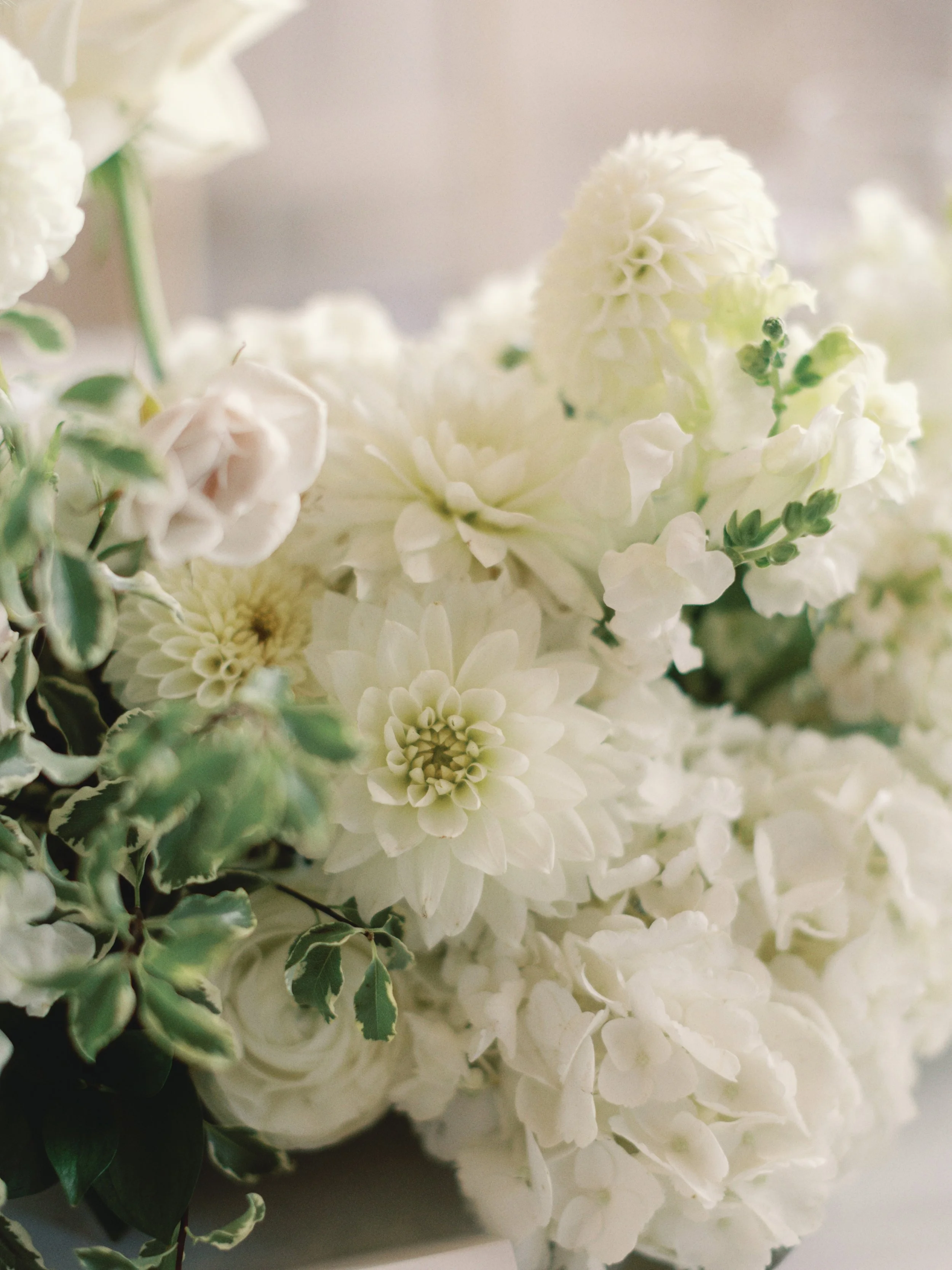 0725_RingdahlWedding_0736_0804.jpg