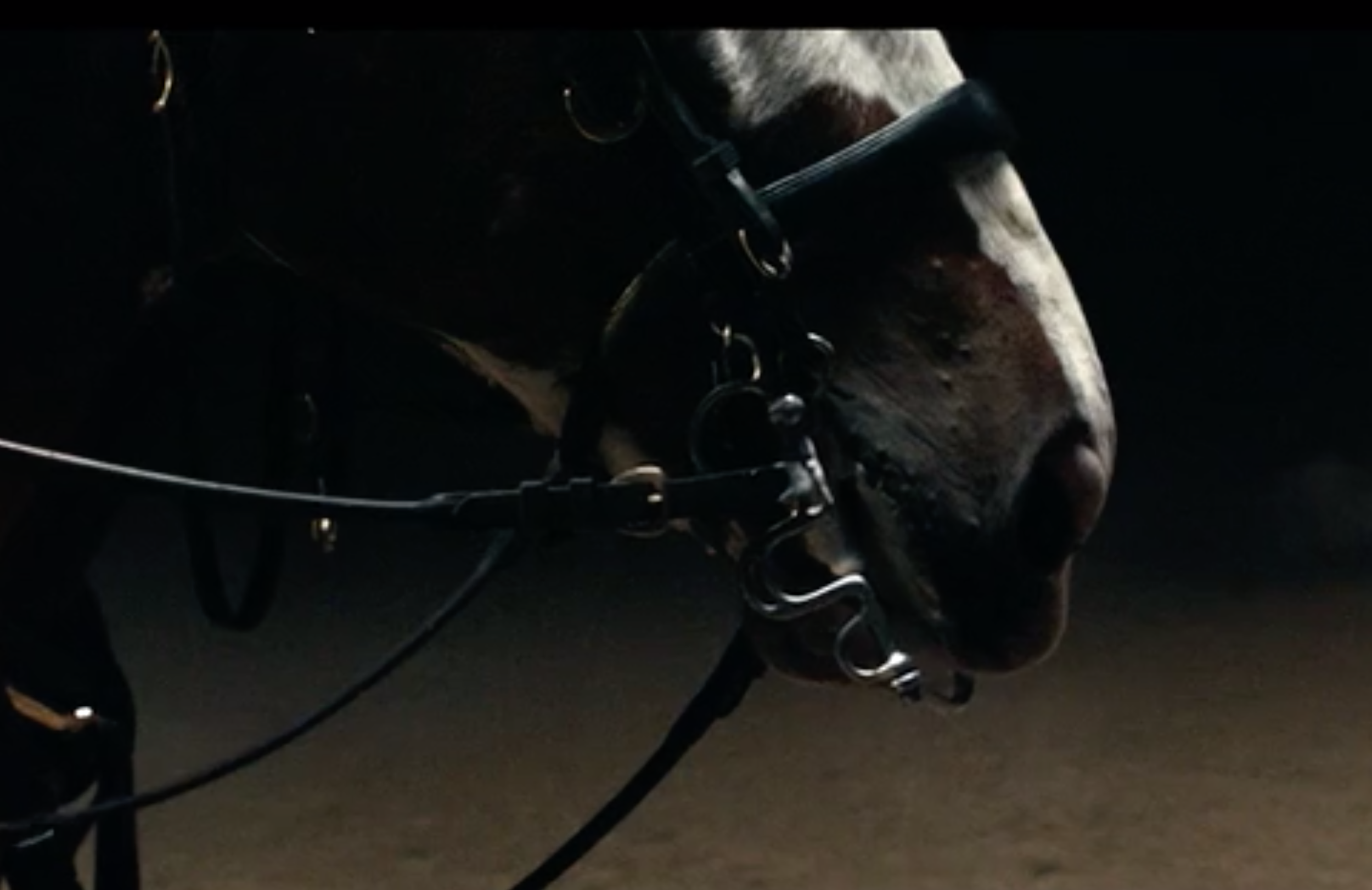 Budweiser 