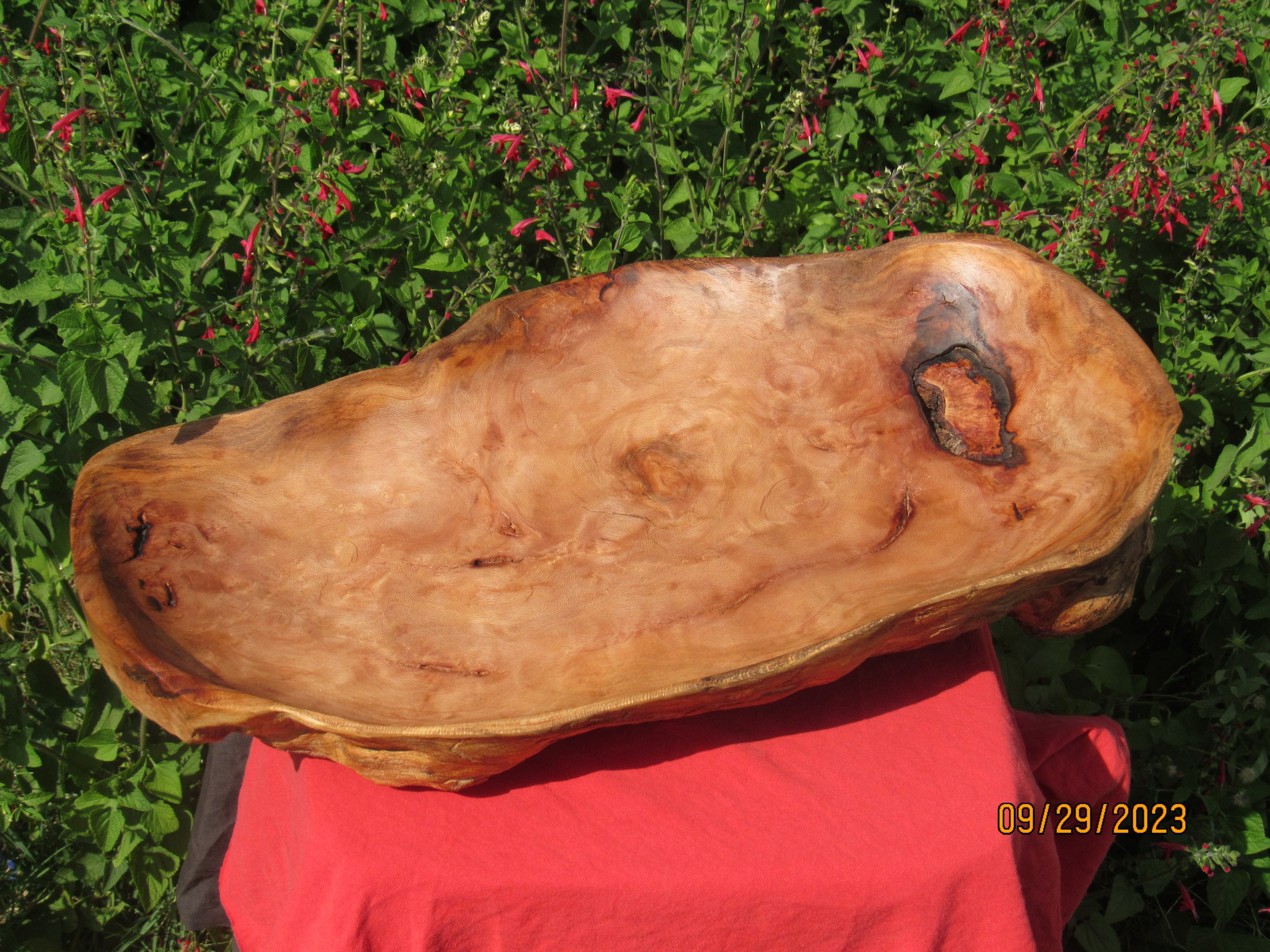 The Wood Potter