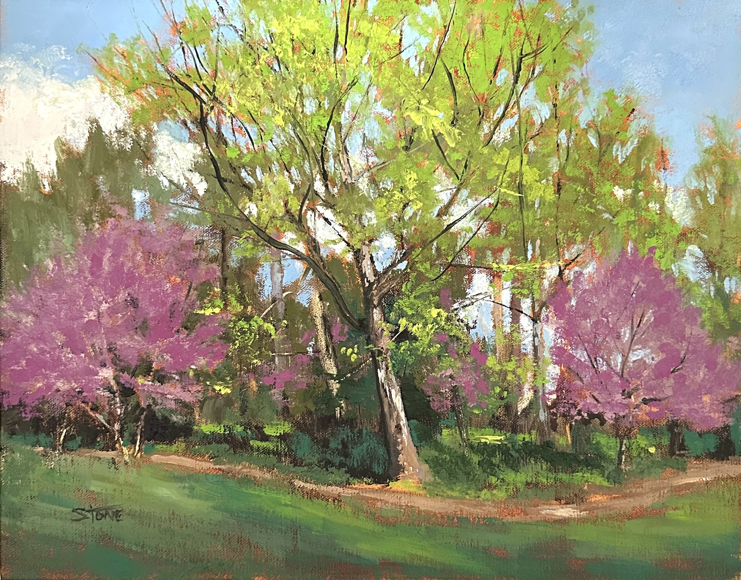 GStone-2-RedbudsInThePark - Greg Stone.JPG