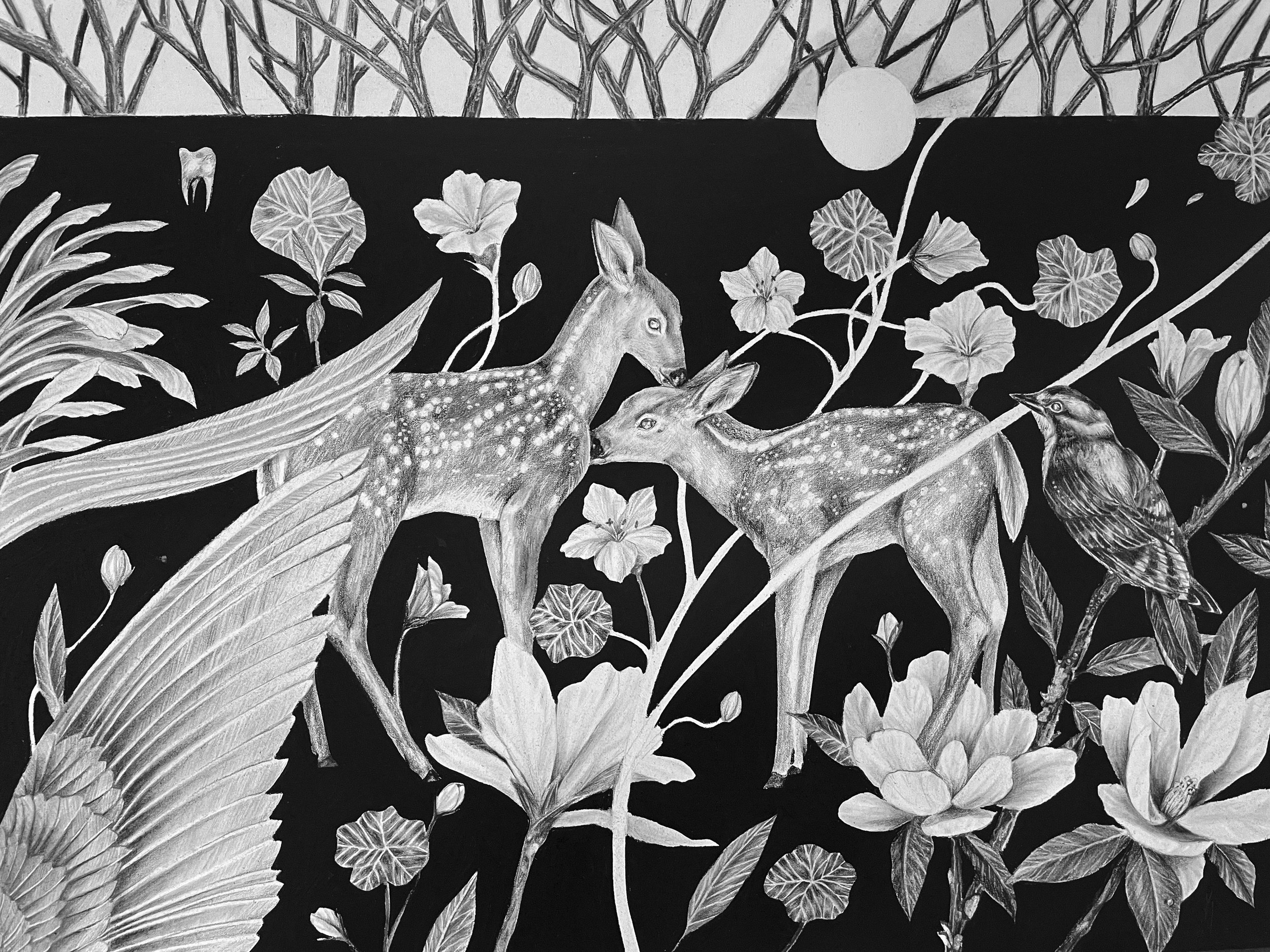 PIECE 1 TAKEN - Kayla Anley.jpg