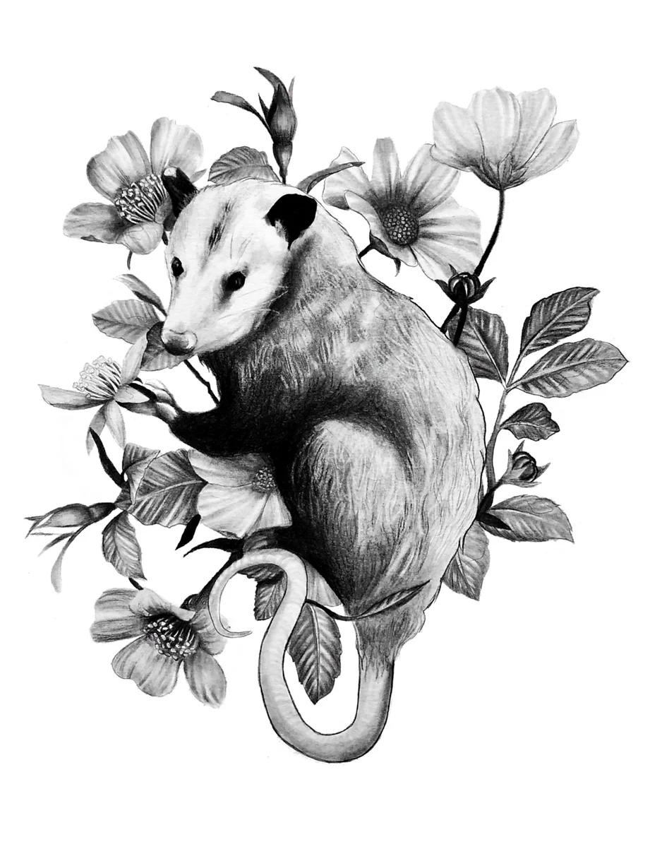 KAYLA ANLEY PIECE 2 BEVERLY - Kayla A..png