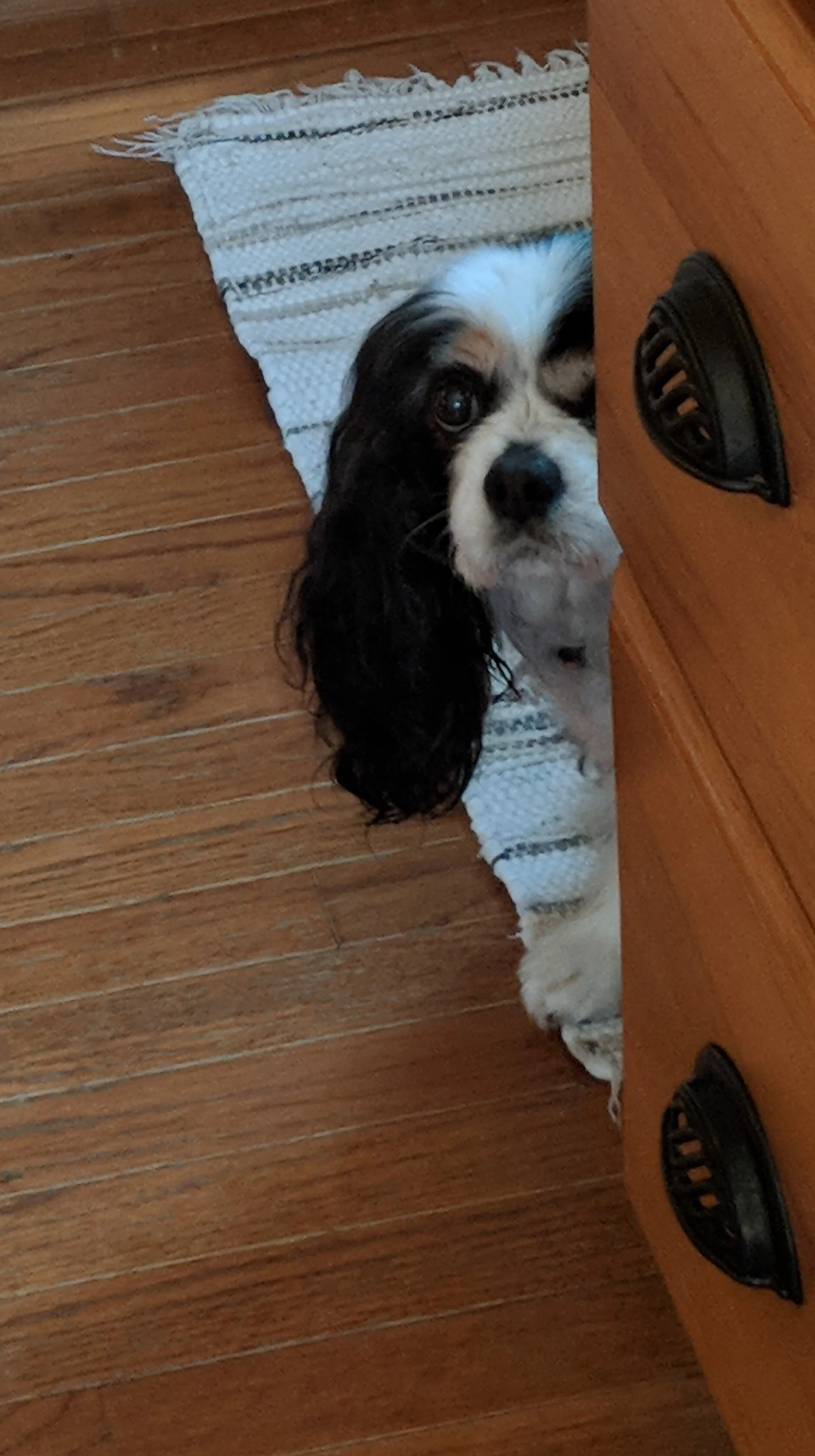 What's for supper mom?