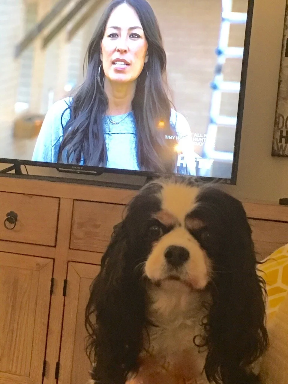 Agatha Is So Over "Getting The Farmhouse Look"