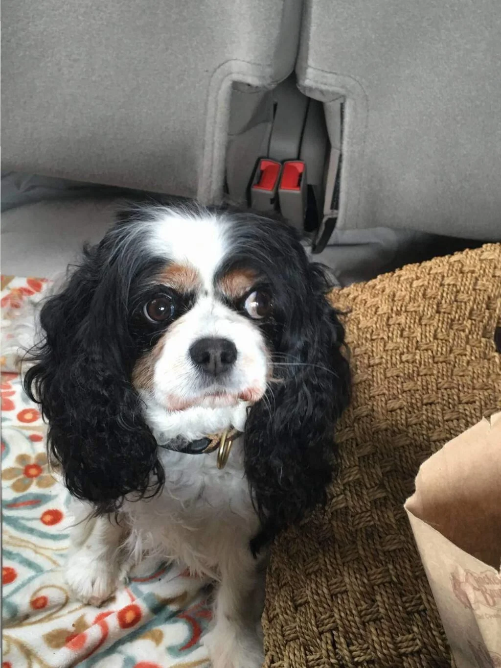 There's No Place Like Home Toto Part I