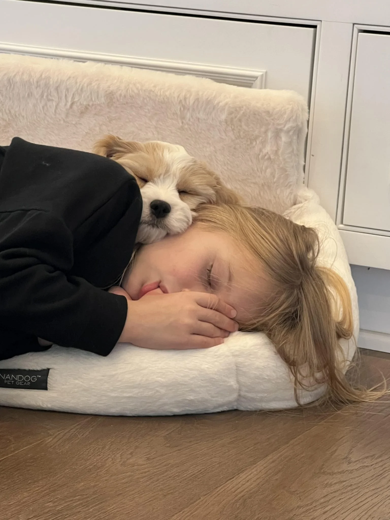 Just A Little Puppy Love ❤️