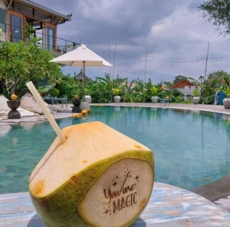 stay pool coconut.jpg