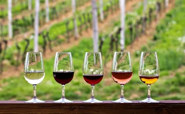 wine tasting 2.webp
