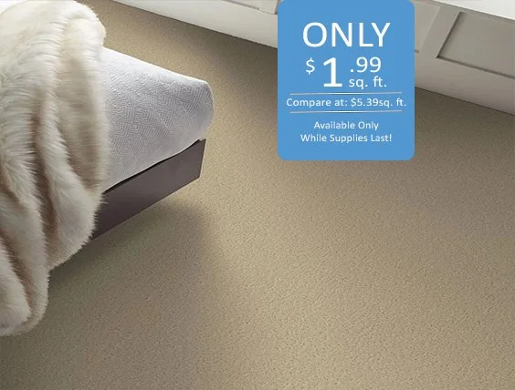 No Frills Stretch in Carpet Deal - $1.99/sq ft