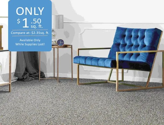 Stylish Story 2 Whole Grain Blue Tag.jpg