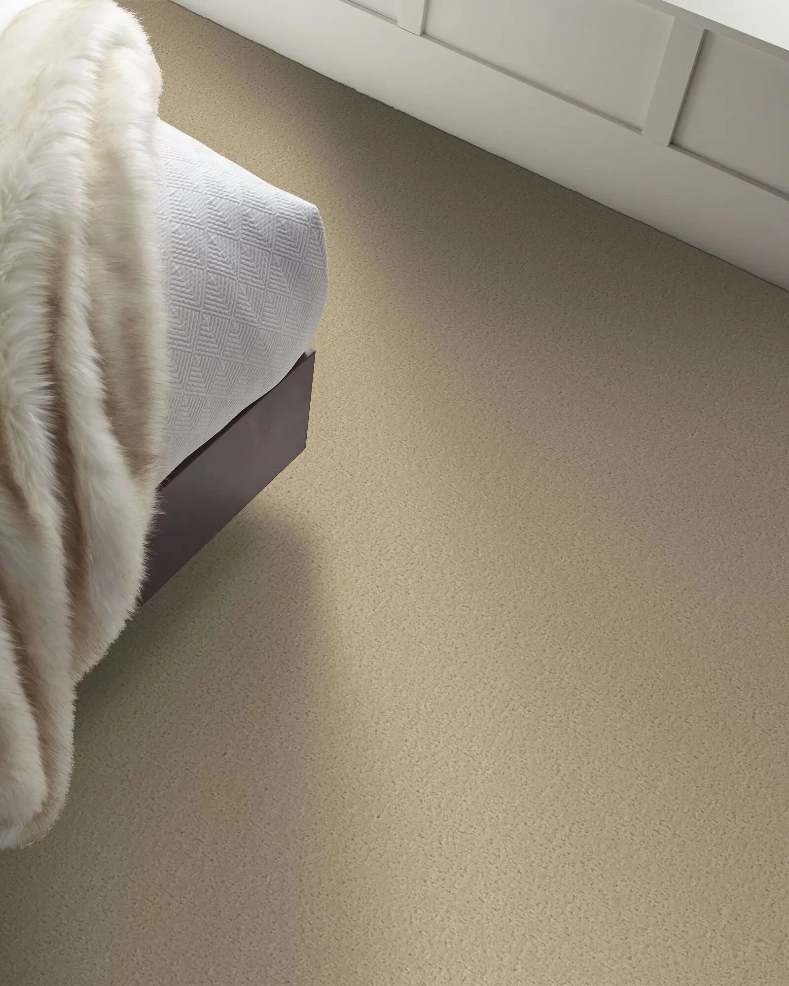 canvas-comfort-sun-kissed-room3.jpg