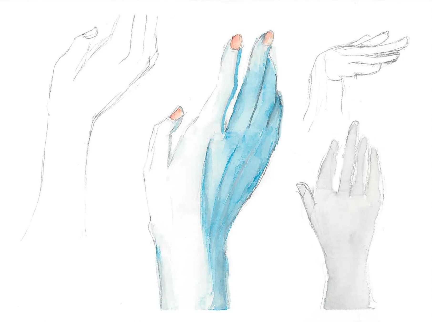Hand Anatomy Study (2020)