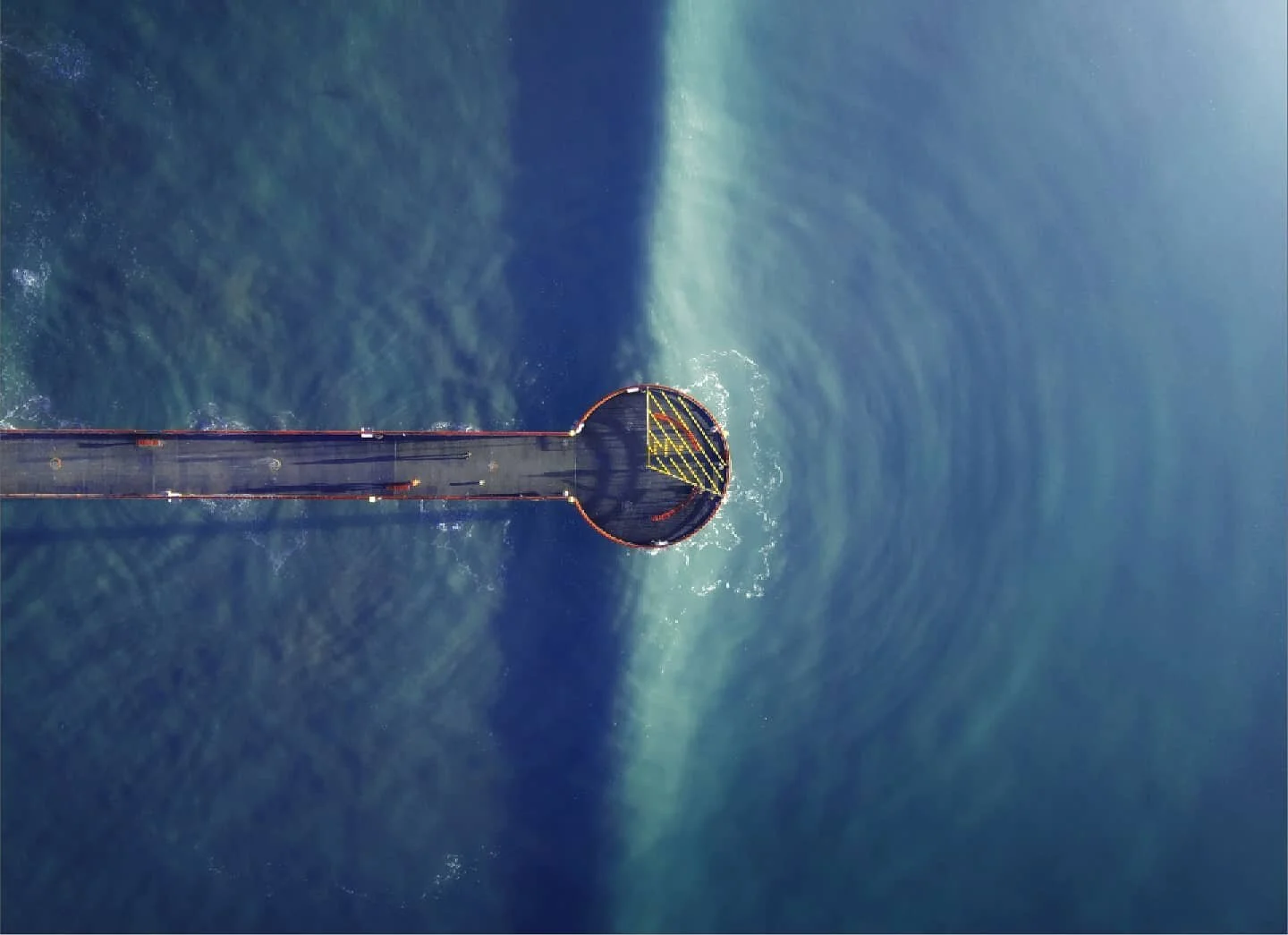 Be yourself unless you can be a bird. 😅😍🌬️🦅
@christchurchnz
@djiglobal
@djiferntech
@niftyfew
@drone.globe
#dji #dronestagram #drone #aerialphotography #droneoftheday #drones #dronegear #dronefly #aerial #dronelife #djiglobal #dronephotography