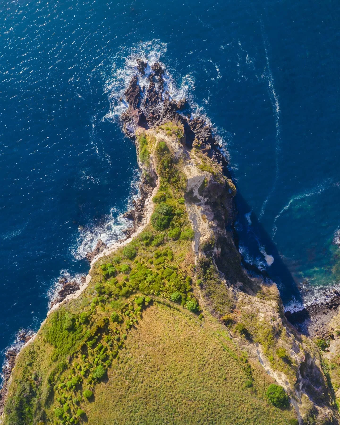 New Zealand colours. Agree? ❤️😍
"yeah, I think I'm back on IG." xD
@christchurchnz
@purenewzealand
@djinewzealand
#dronestagram #aerialphotography #dji #droneoftheday #dronephotography #djiglobal #drone #drones #aerial #dronelife #drone