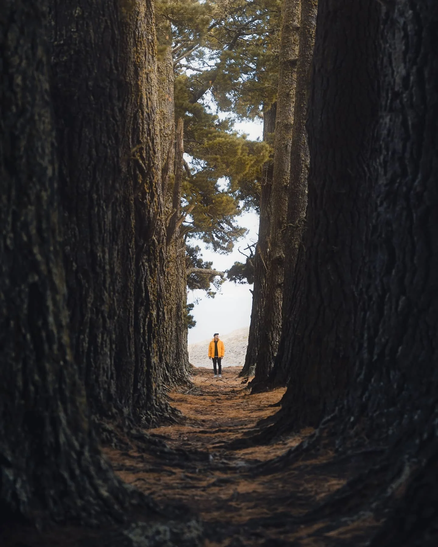 "We're not really photographing the landscape... We are photographing the way the landscape makes us feel." - Andy Mumford
@tamronnz
@christchurchnz
@sonyalphanz
@sonyalpha.anz
@purenewzealand
@earthpix
@niftyfew
 #landscape_lovers #landsc