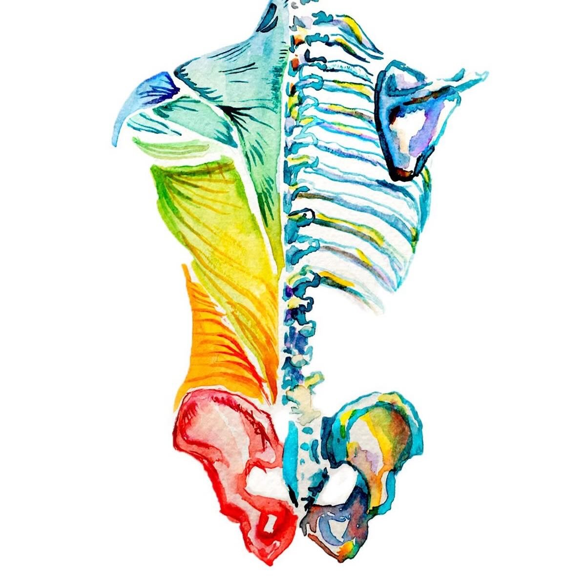 Intercostal and thoracic back pain can be surprisingly common &mdash; and very uncomfortable. 🤍

This type of pain is often felt around the bra line, ribs, or mid-back and can worsen with deep breathing, twisting, or certain movements. In many cases