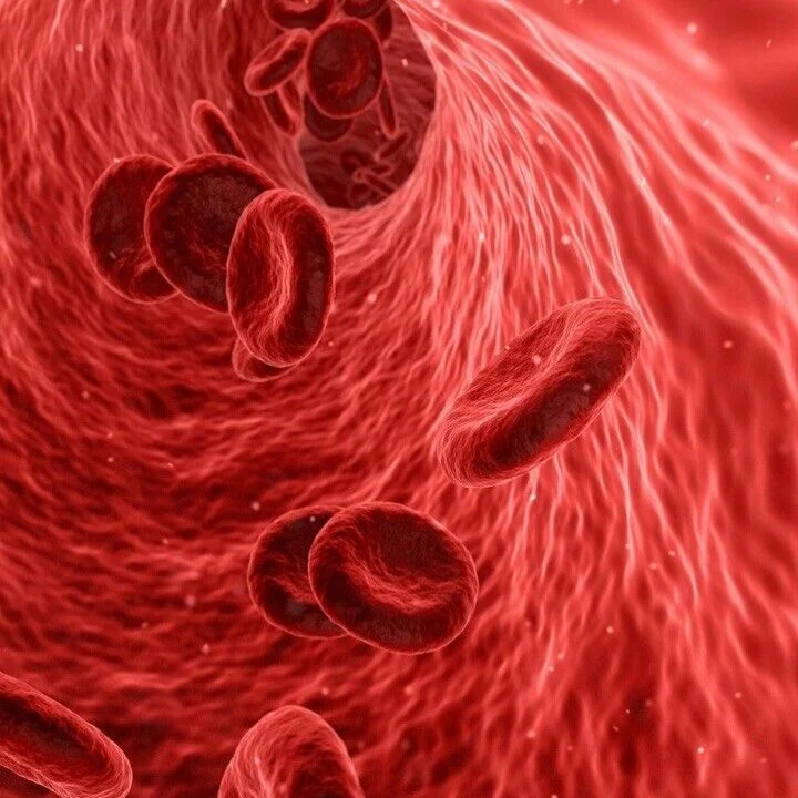 Iron deficiency is incredibly common in women &mdash; and often overlooked. 🤍

Low iron can affect energy, focus, hair health, exercise tolerance and overall wellbeing. Iron plays an essential role in homeostasis, particularly in oxygen transport an