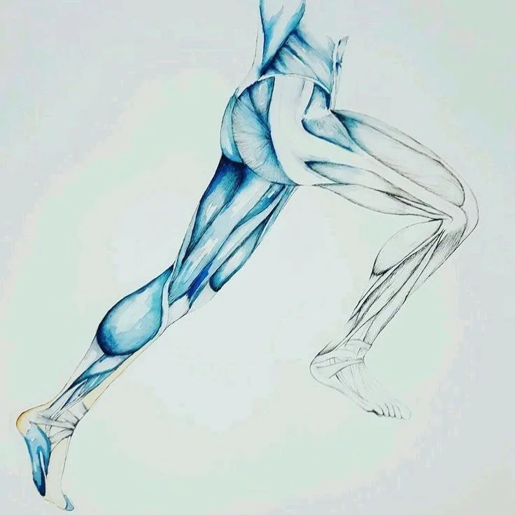 ✨ Intentional Movement &mdash; Every Day, If You Can

Movement doesn&rsquo;t have to look like a workout.
It doesn&rsquo;t need gym clothes, a schedule, or perfection.
What matters is the intention behind it.

🌿 Move because it feels good.
Because y