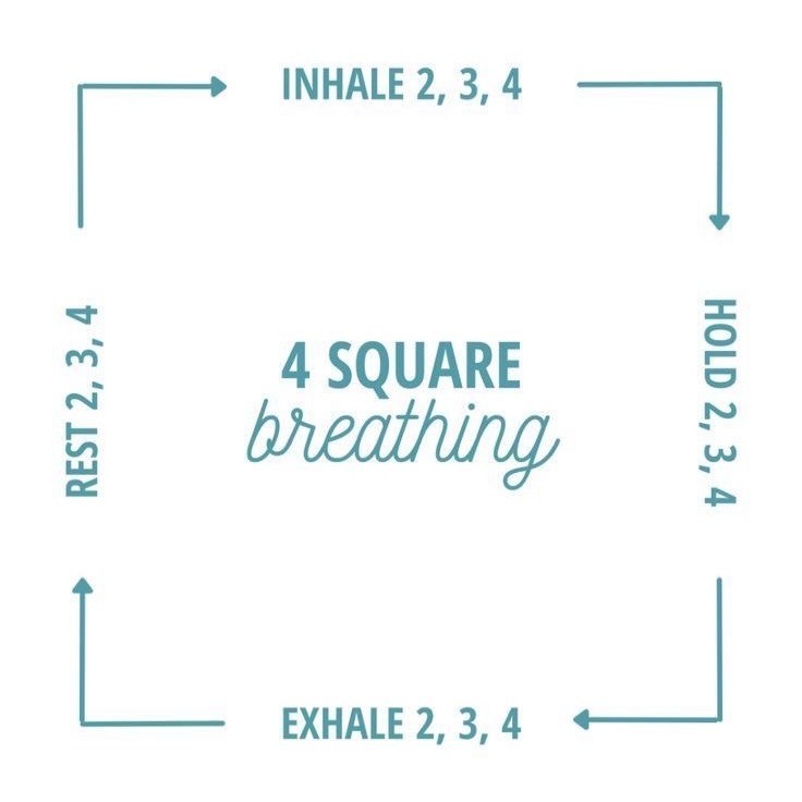 🌿 Square Breathing: It Never Gets Old (Because It Works Every Time)

When life feels busy, overwhelming, or a little &ldquo;too much,&rdquo; the simplest tools are often the most effective &mdash; and square breathing is one of them.

It&rsquo;s a g